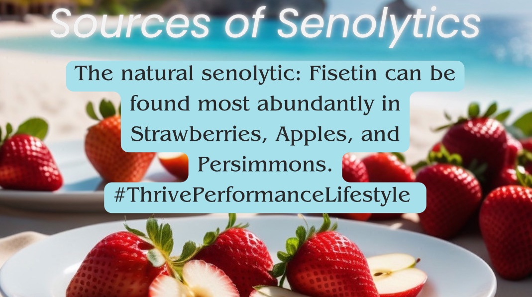 Recent studies suggest plant-based foods extend life by regulating metabolism, targeting TRP channels, mitophagy, senescence pathways, and circadian rhythms. This understanding could lead to innovative ways to prevent aging and its related diseases. Here are a few senolytics that…