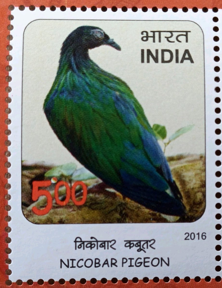 Near Threatened Birds of India

#Indianaves #birds #IndiAves #birdsonStamps #Philately #Stamps #India @moefcc #Indiapost
