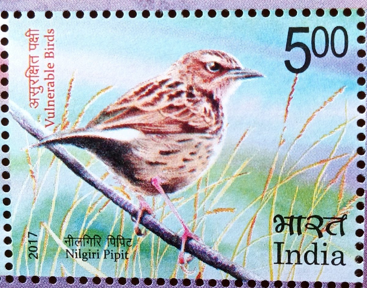 Vulnerable Birds of India

#Indianaves #birds #IndiAves #birdsonStamps #Philately #Stamps #India @moefcc #Indiapost