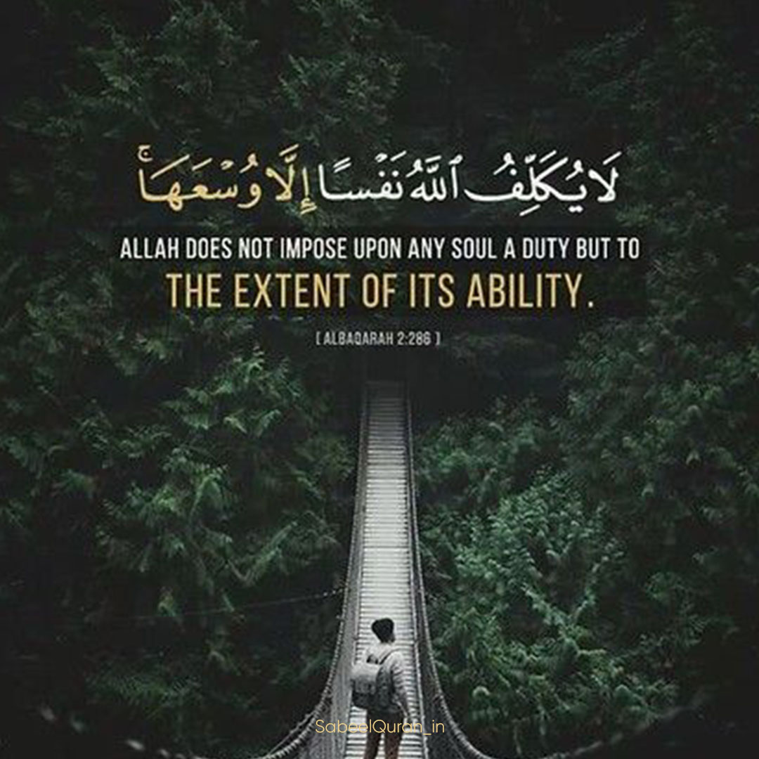 'Allah does not impose upon any soul a duty but to the extend of it's Ability'

#HolyQuran
#TuesdayMotivation