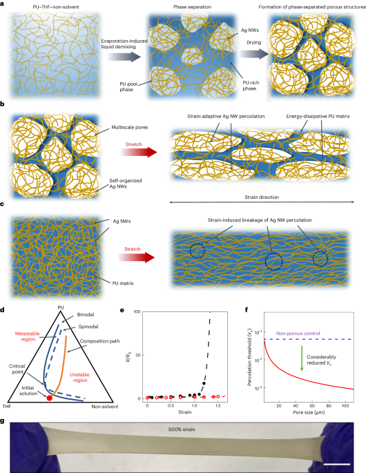 New content online: Phase-separated porous nanocomposite with ultralow percolation threshold for wireless bioelectronics dlvr.it/T6BjT2