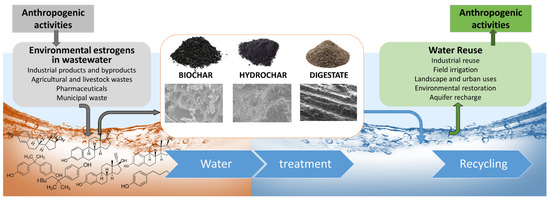 🎈 #MDPIMaterials #highlycited #openaccess #review 🎈 📒 Recent Advances on Innovative Materials from #Biowaste Recycling for the Removal of Environmental Estrogens from Water and Soil ✏ Authored by Prof.Dr. Elisabetta Loffredo et al. 🔗 mdpi.com/1996-1944/15/5…