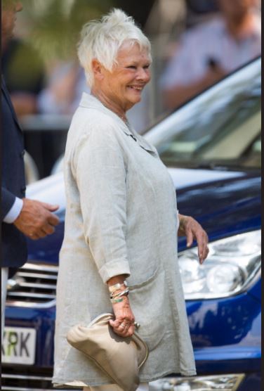 Sandringham Flower Show, 2014
Photographer: Samir Hussein

#JudiDench #SandringhamFlowerShow