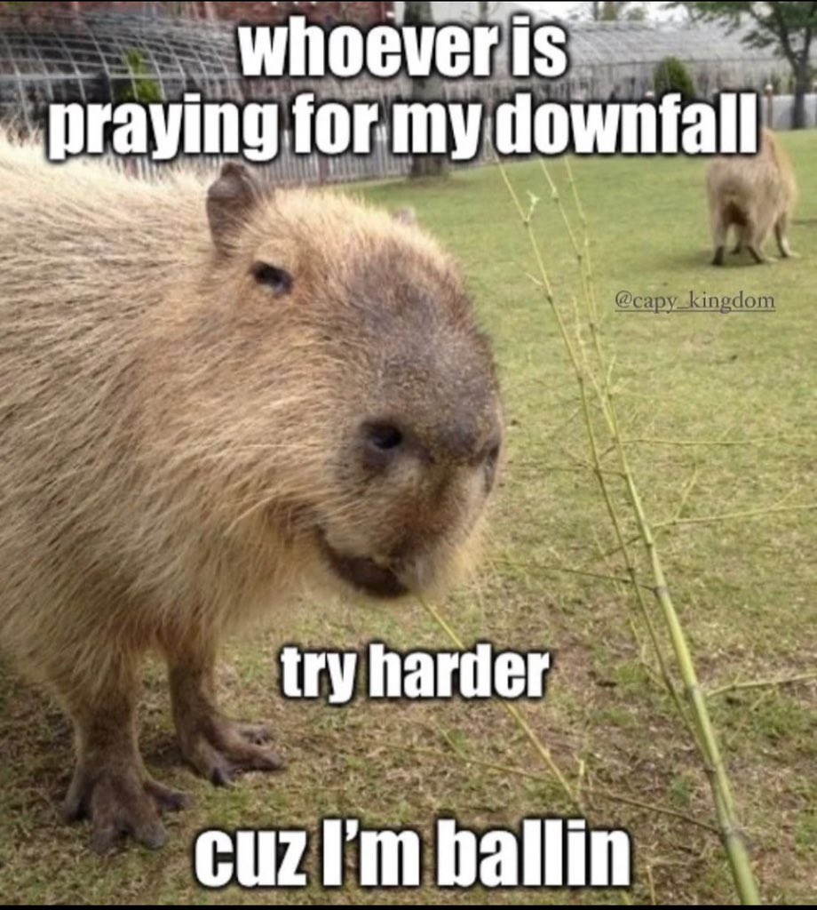 Always makes me crack up