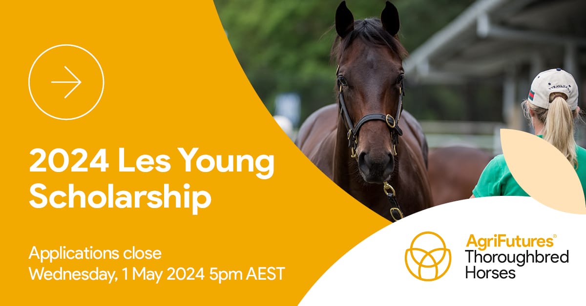 🌟 APPLICATIONS CLOSING SOON 🌟 The 2024 #LesYoung Scholarship applications close Weds 1 May 2024. Aimed at moulding futures in the #thoroughbredhorse industry, providing invaluable support & career growth opportunities 🐎 Apply now 👉 bit.ly/4909YI6