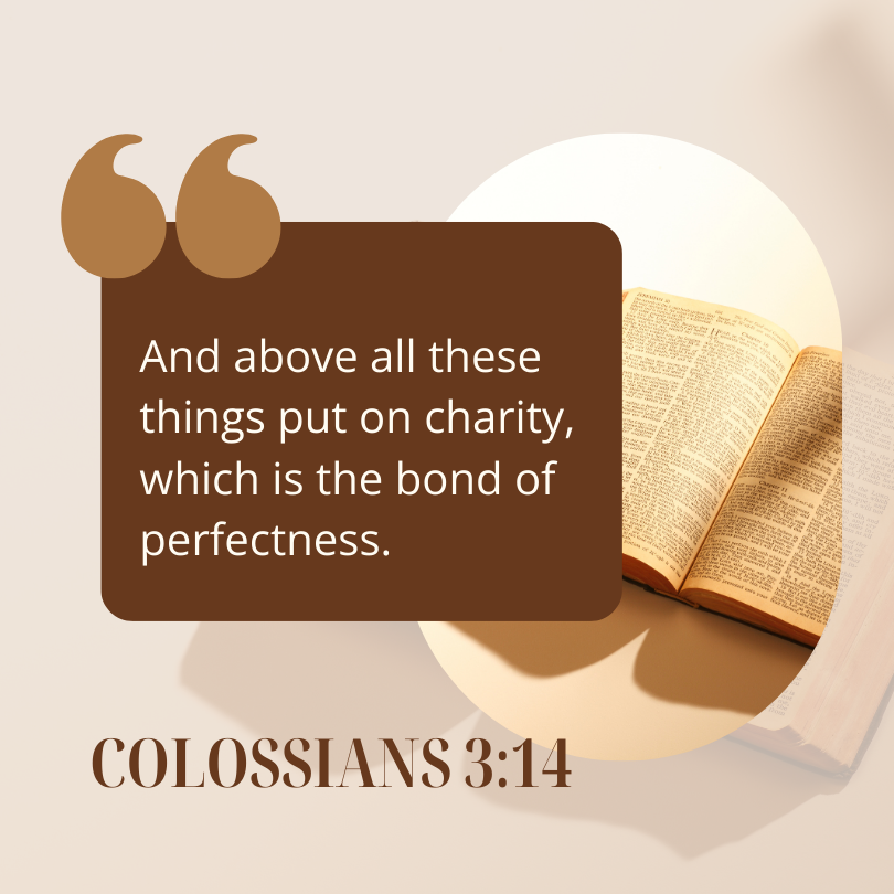 COLOSSIANS 3:14
KING JAMES VERSION

And above all these things put on charity, which is the bond of perfectness.

How Should We Treat People
#PureDoctrinesOfChrist