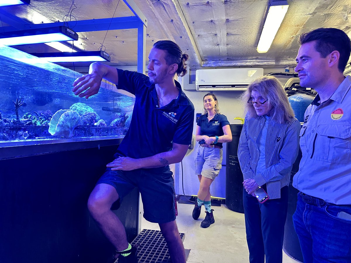 🪼 @minderoo’s Exmouth Research Lab brings together scientists from Australia, the U.S., and worldwide to improve reef health.

They're identifying heat-resistant coral, tracking water temperatures, monitoring species, working with @MarsGlobal on reef restoration, and much more.
