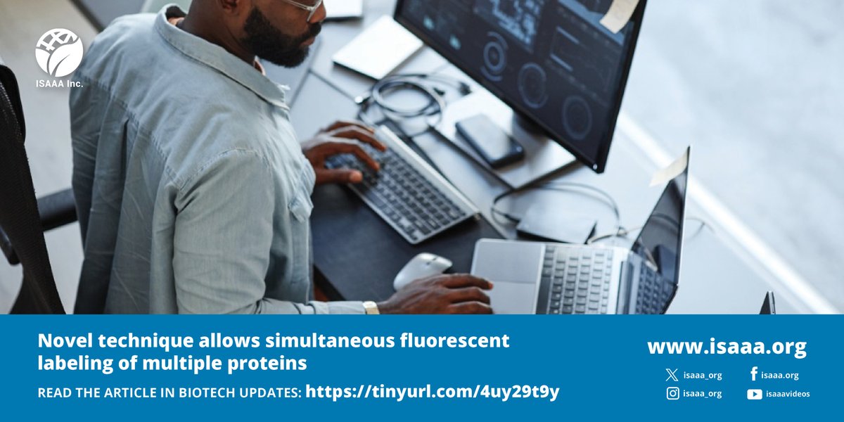 Researchers developed a new method to label proteins simultaneously. This automated high-throughput method uses #CRISPRCas9 to attach fluorescent proteins to the ones under study. Read details in #BiotechUpdates: tinyurl.com/4uy29t9y