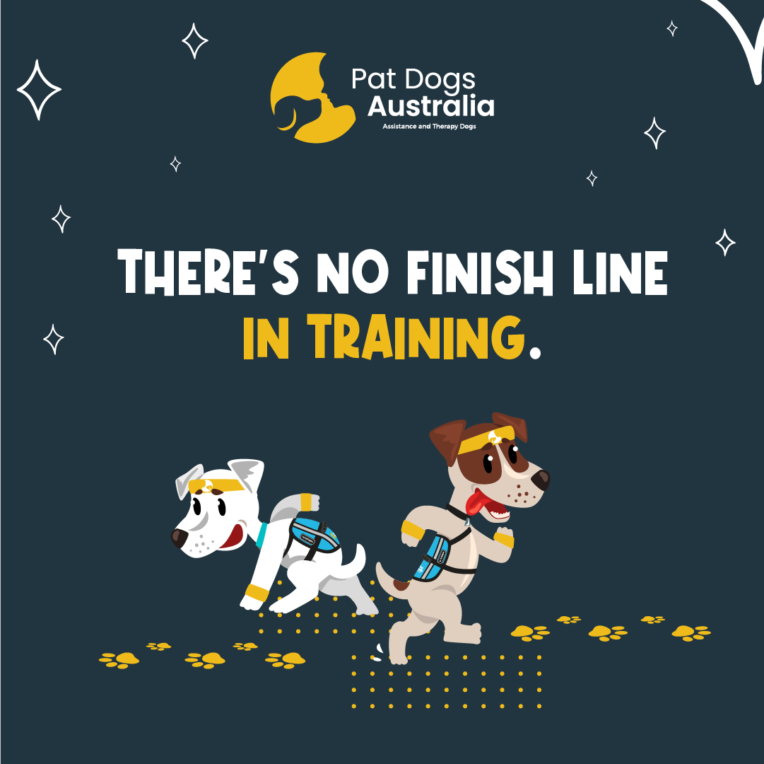 In the world of assistance dogs, training is a journey without a finish line. 🐾 #assistancedogs #therapydogs #mentalhealth #iliketopatdogs