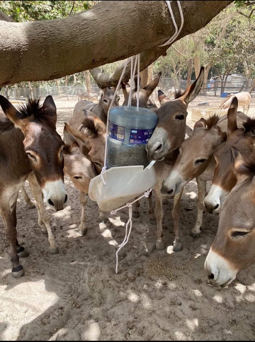 Modou338800's tweet image. 