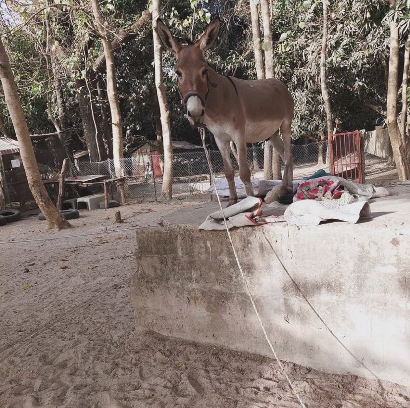 Modou338800's tweet image. 