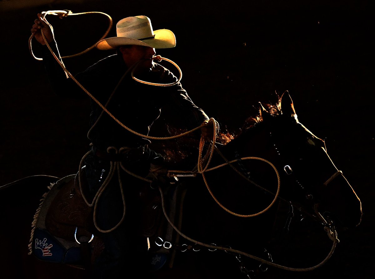 Headliner Awards (@headlinerawards) on Twitter photo Congrats to Will Lester of Southern California News Group for first in pictorial for âRodeoâ <a href="/WillLesterPhoto/">Will Lester</a> <a href="/SoCalNewsGroup/">So Cal News Group</a> Congrats to Will Lester of Southern California News Group for first in pictorial for âRodeoâ <a href="/WillLesterPhoto/">Will Lester</a> <a href="/SoCalNewsGroup/">So Cal News Group</a>