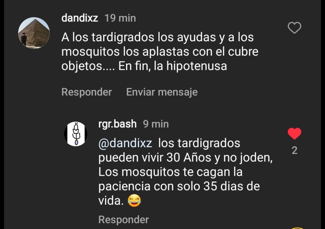 Biología Desde Cero (@BiologiaDesde0) on Twitter photo 2024-04-30 01:47:36
