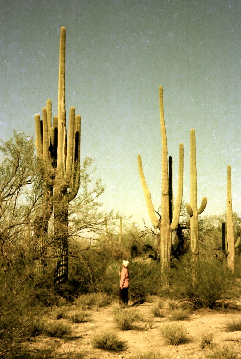 My mom with big saguaro.