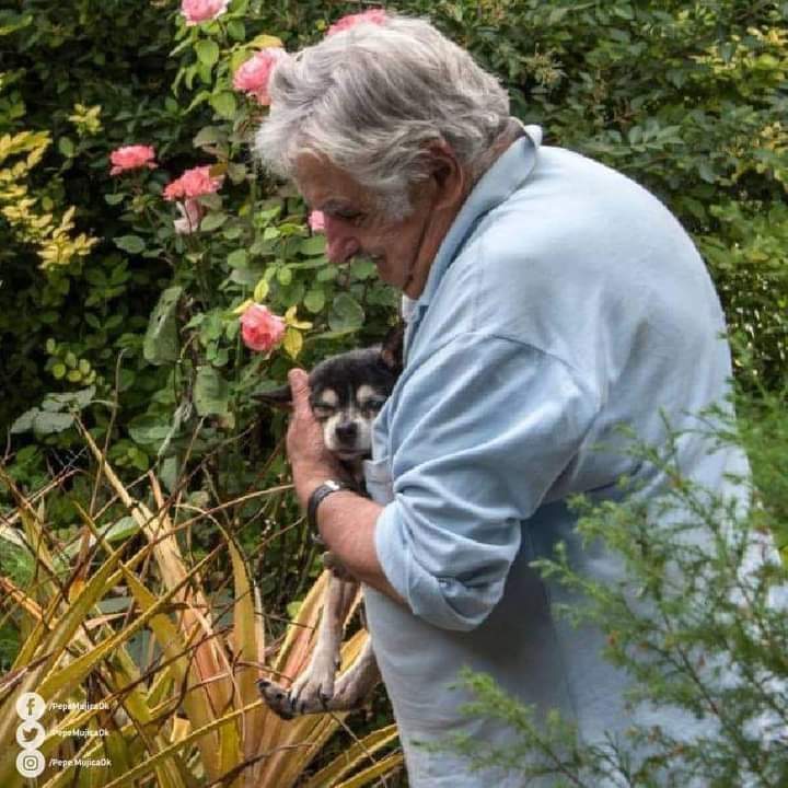 “Transformen la bronca en esperanza.”

“Luchen por el amor.”

“Caminen acompañados, nadie se salva solo.”