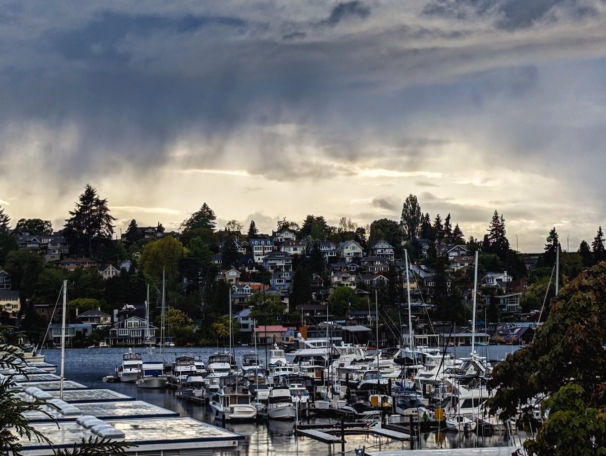 Stormy view across Portage Bay this evening. Heard thunder twice