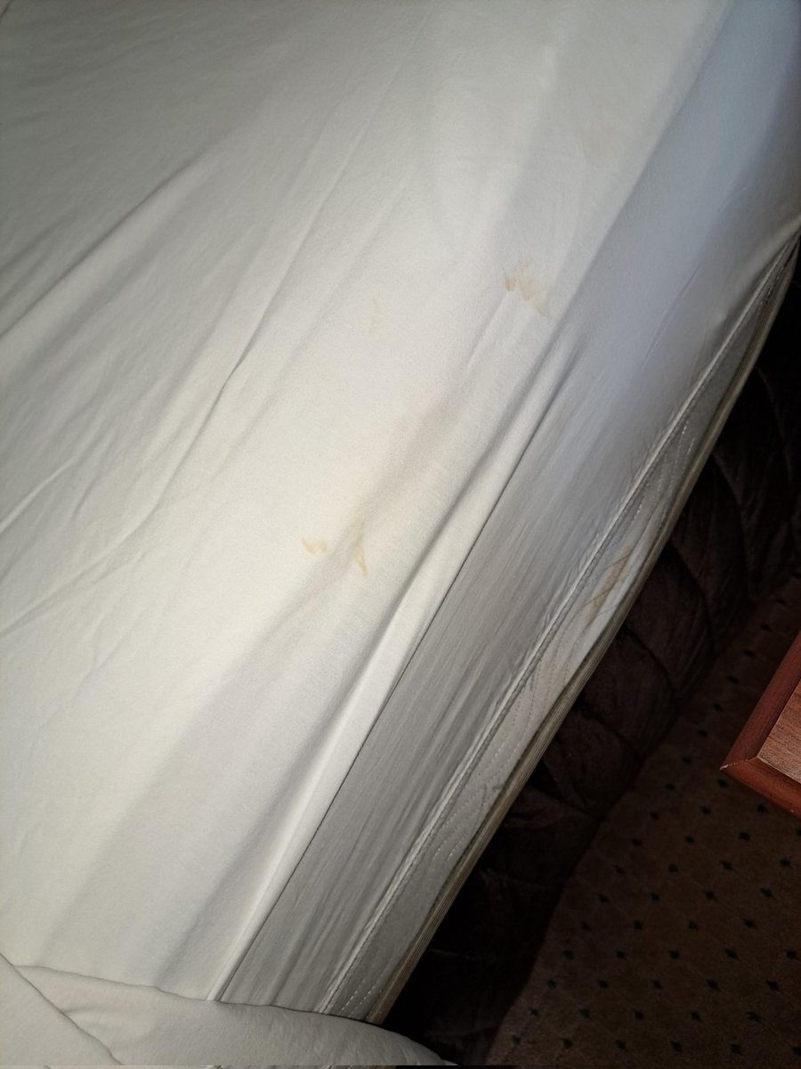 @WyndhamHotels @BaymontInns I expected better. My family and I deserved better. The filth on these sheets is tantamount to a health hazard. Customer service refused to assist, so let me show the world why I complained. @GaDPH help! Kent Dr. Cartersville, GA