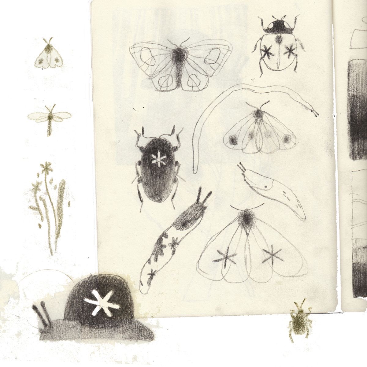 ِ (@controdicting) on Twitter photo 