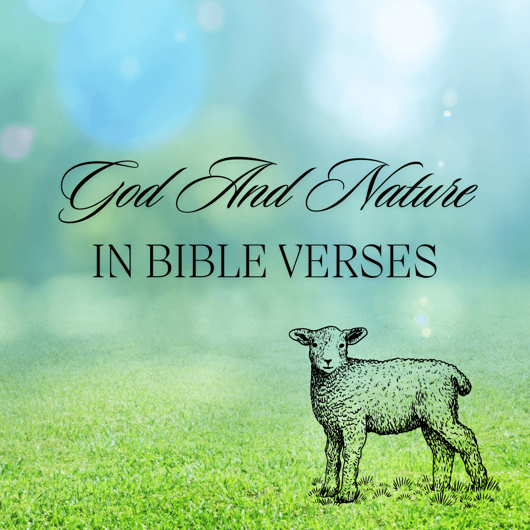 God and Nature in Bible Verses is one of our connections to God besides the strongest connections we have with Jesus and the Holy Spirit. budgetingfaithfully.com/god-and-nature… #bloggerstribe #blogger #WritingCommunity #BloggingCommunity