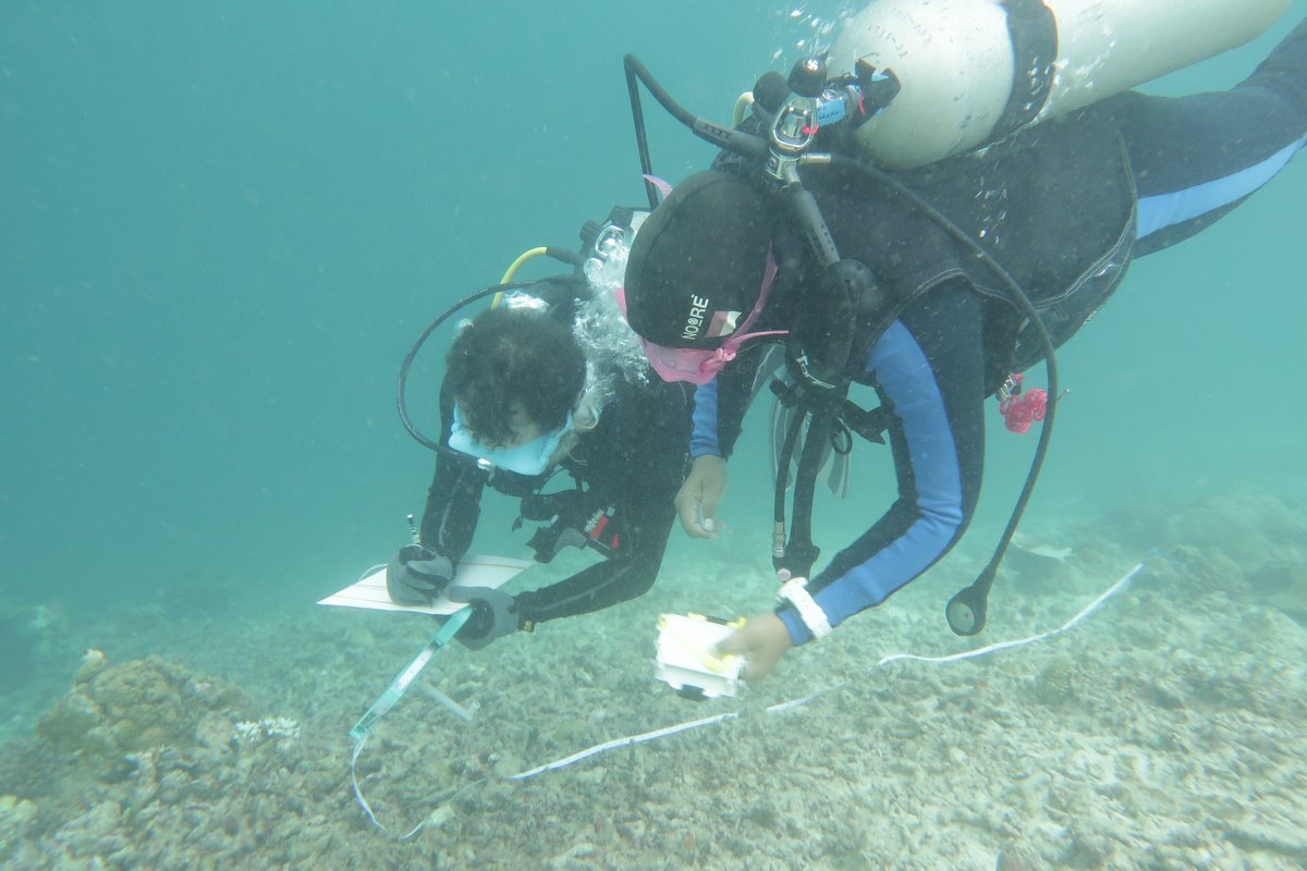 MariaBeger's tweet photo. Day 6 #ClimateREEFS SE Sulawesi trip: future fish surveyors trying out multitasking with the transect tape! #ECRtraining Yay Fajrin Cilun Ben! ๐ ๐ ๐ https://t.co/u0pyWFU7tw
