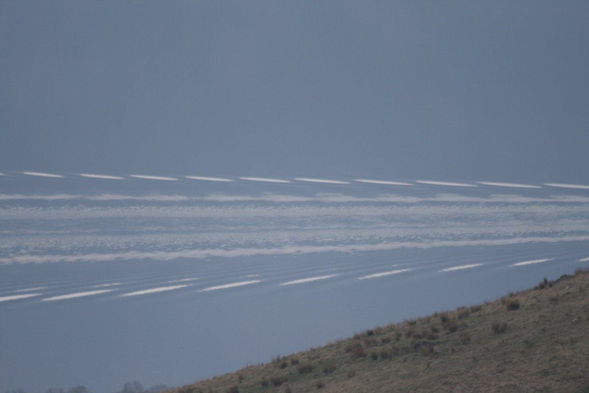 #picoftheday Wake Patterns Loch Lomond @ladycultreboot @PennineThe @FionaGrahame @raiphsays @staithesartist @MarySummer1966 @pilaraymara @GREIGEXVS1300A @moleatthedoor @mrs_counter @Catrionareids @JohnDowson66 @fairynuff1979 @ArgyllSeaGlass @weestie97 @cee4cat @defiaye @itsDaibhi