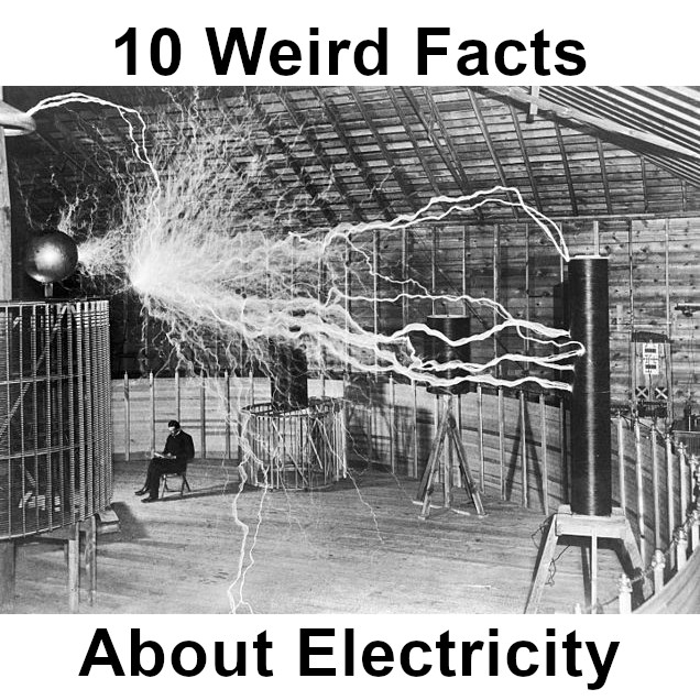 Discover 10 weird facts about Electricity at FreeSpeedReads.com/electricity (#electricity, #electrical, #alternatingCurrent, #directCurrent, #amps, #volts, #watts, #ohms, #NikolaTesla, #ThomasEdison, #USHistory, #electricalPower, #electricMotor, #lightBulb)
