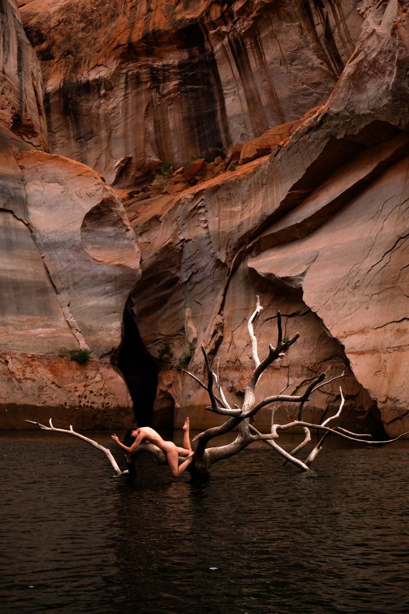 Oh to be a dreamer…