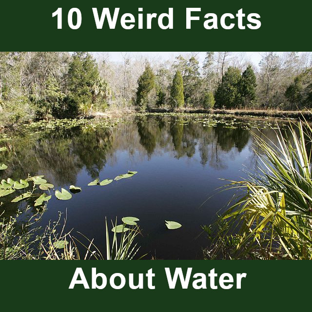 Discover 10 weird facts about water at FreeSpeedReads.com/water (#water, #ice, #steam, #statesOfMatter, #matter, #hydrogen, #oxygen, #science, #physics, #weather, #weatherScience, #earthScience, #waterConservation, #molecules, #molecular)