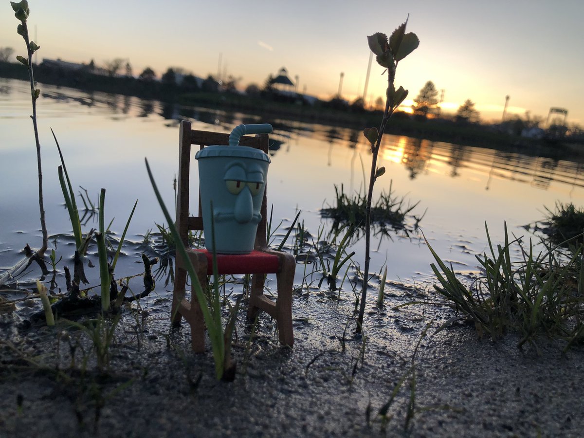 (Day 5) Squidward Cup Sitting Down enjoying the sunset