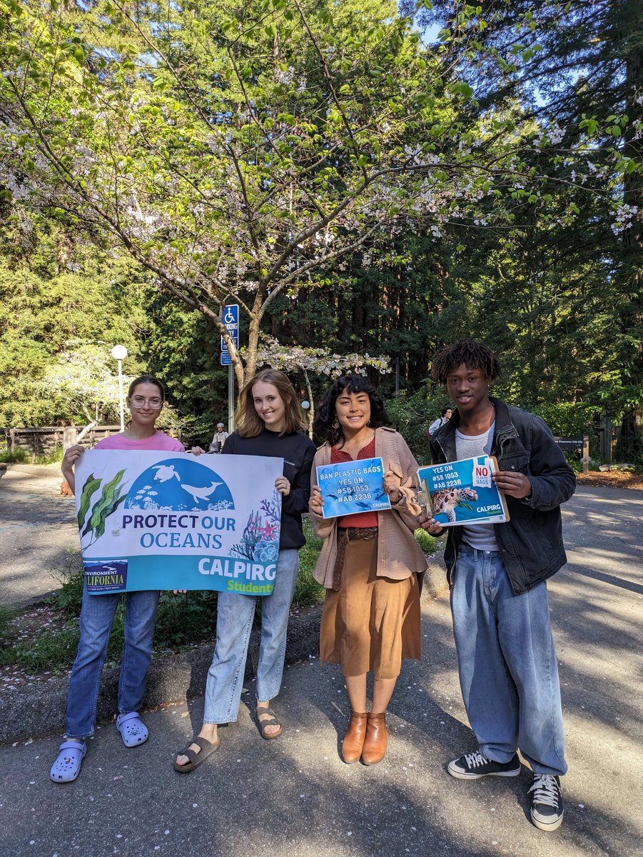 We’re out here @ucsc gathering support from students for #SB1053 #AB2236 before we go to Sacramento for #OceanDay. We need to #BanTheBag to protect our oceans and our health! 🪸🐳 @CALPIRGStudent #CALeg @AsmGailPellerin @SenJohnLaird @AsmDawnAddis