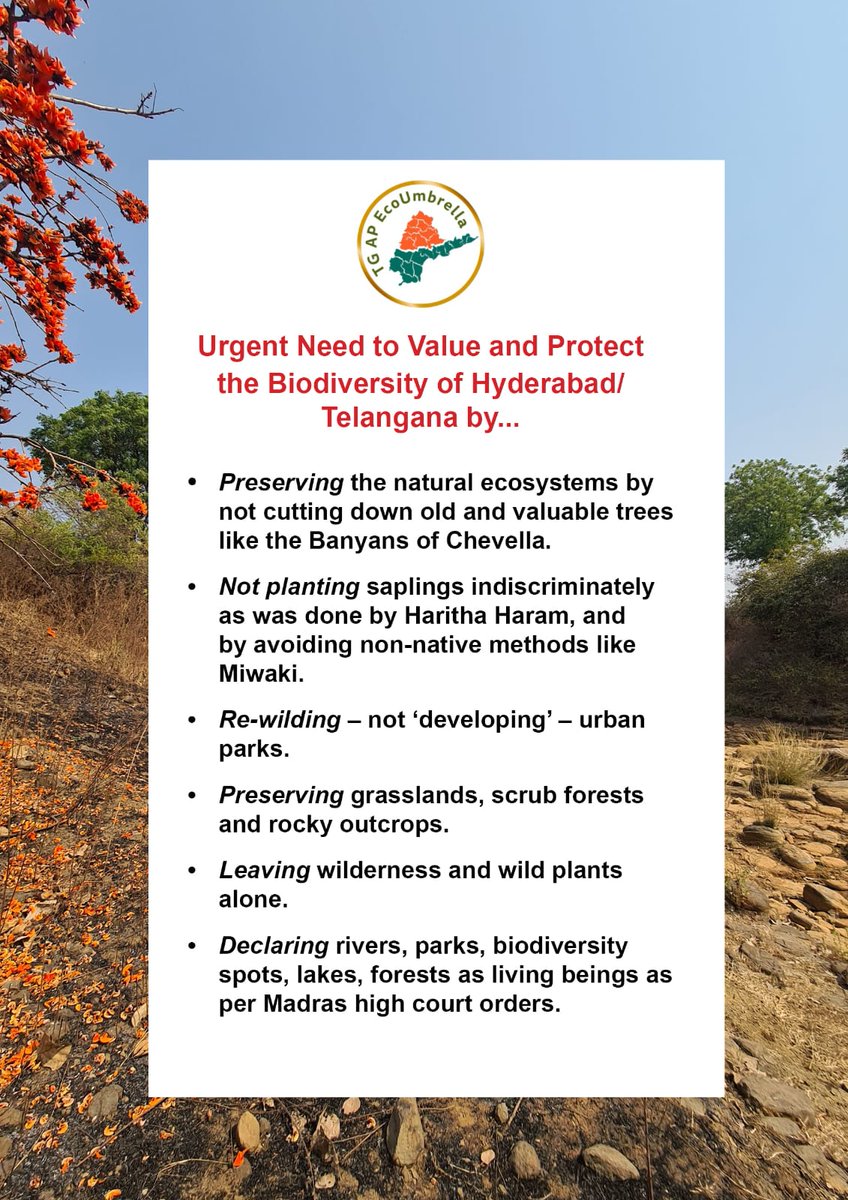 A request to the candidates contesting Lok Sabha elections from Hyderabad - please protect biodiversity of our region. @KishanReddyOfc @DrLubnaSarwath @asadowaisi @patnamsuneetha @KompellaM_Latha @Eatala_Rajender @DanamNagender @LaxmaRagidi #vote4greenindia