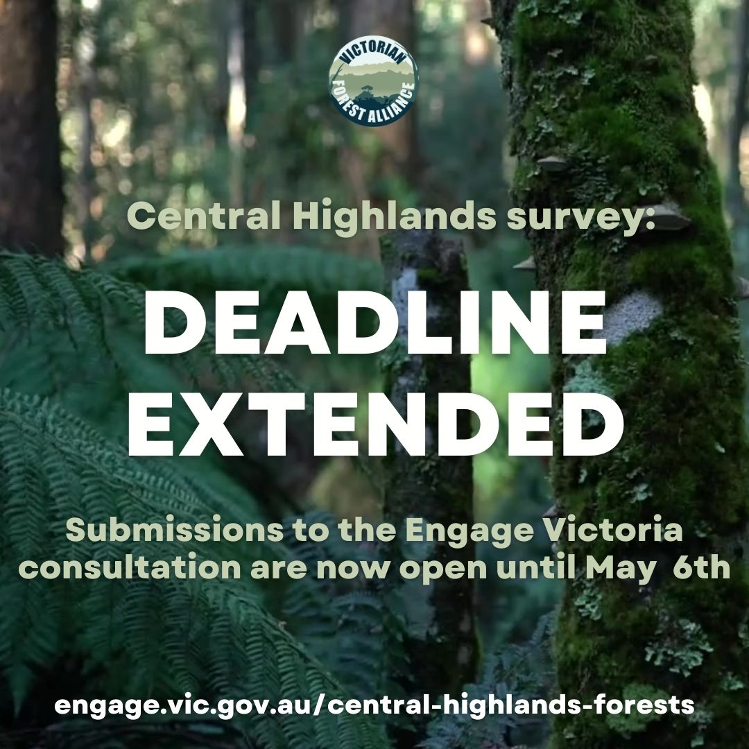 The deadline for the Central Highlands consultation process has now been extended till May 6th. 🌳 This is so important! Please engage with the survey. GFNP Guide: greatforestnationalpark.com.au/your-voice-mat… Survey: engage.vic.gov.au/central-highla… #GreatForestNationalPark #ProtectNativeForests