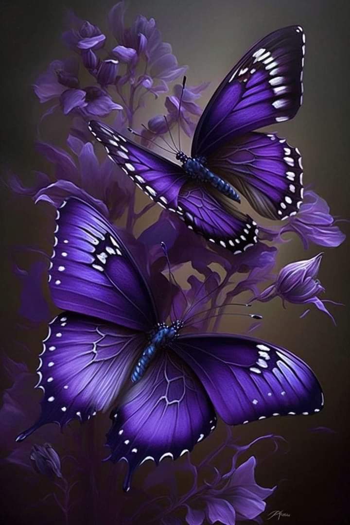 Amo as borboletas 🌹🌻☀️💕