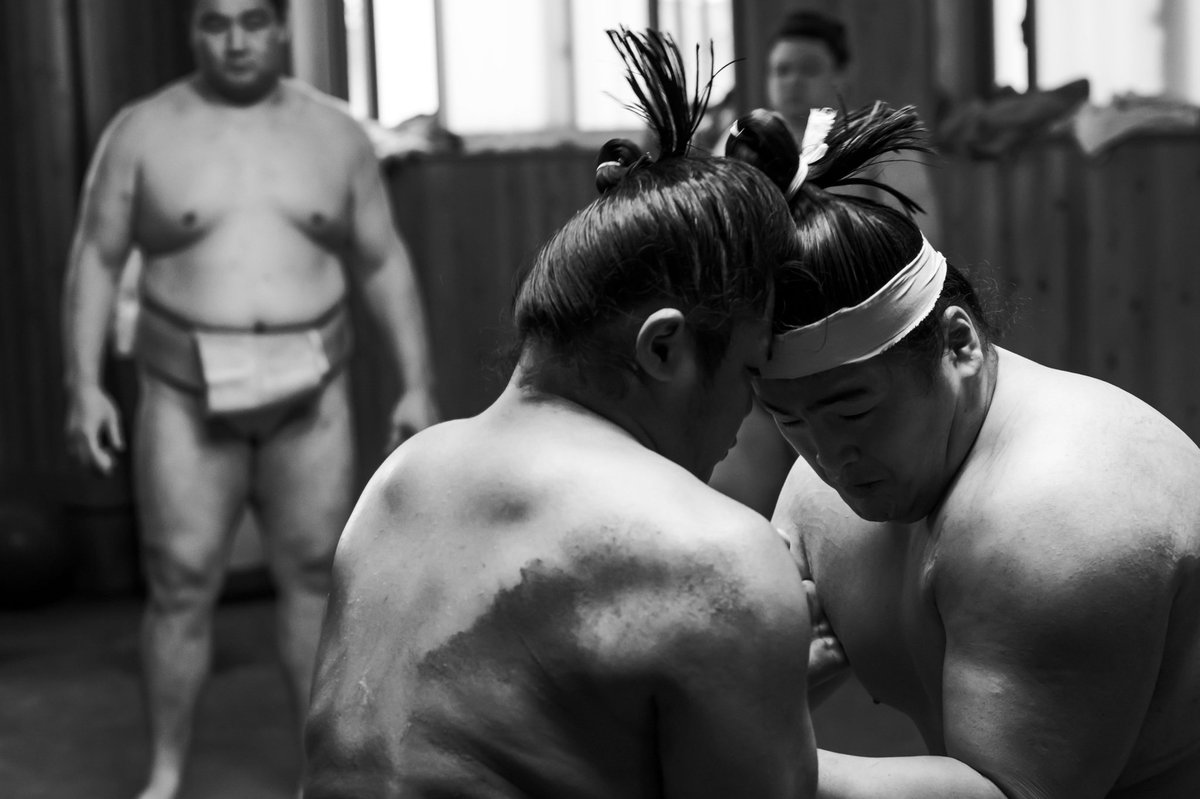 もう5月場所の番付発表か！
怪我なく頑張ってください。

#大相撲
#5月場所
#番付発表
#sumo