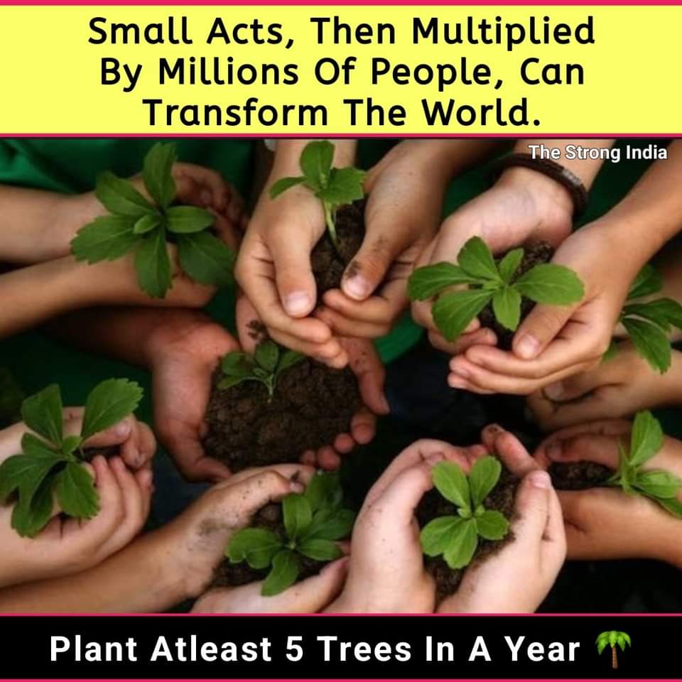 Save trees 🌳

#tree #savetree #SaveEarth #GlobalWarming #HeatwaveAlert #hot #saveplanetearth