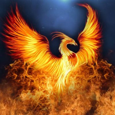 ElixirAnand's tweet image. #NewProfilePic