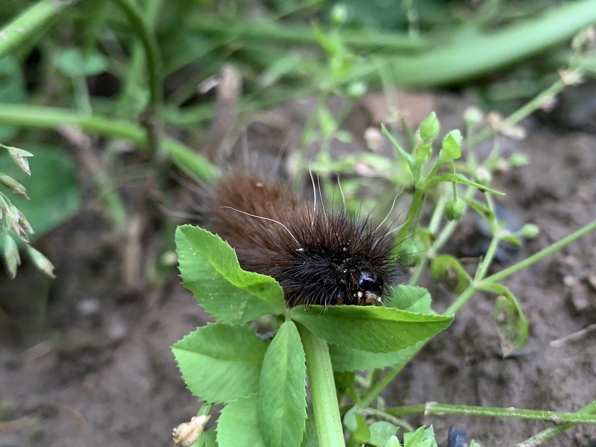 The good morning to the good cute people 

#ownphotography