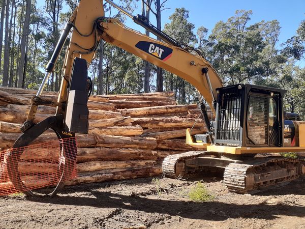LOGGING IN THE WOMBAT FOREST 🌳 'How much environmental damage can thirteen 30 tonne machines do every day? This has to stop now.' DEMAND Wombat is protected: steve.dimopoulos@parliament.vic.gov.au mary-anne.thomas@parliament.vic.gov.au jacinta.allan@parliament.vic.gov.au