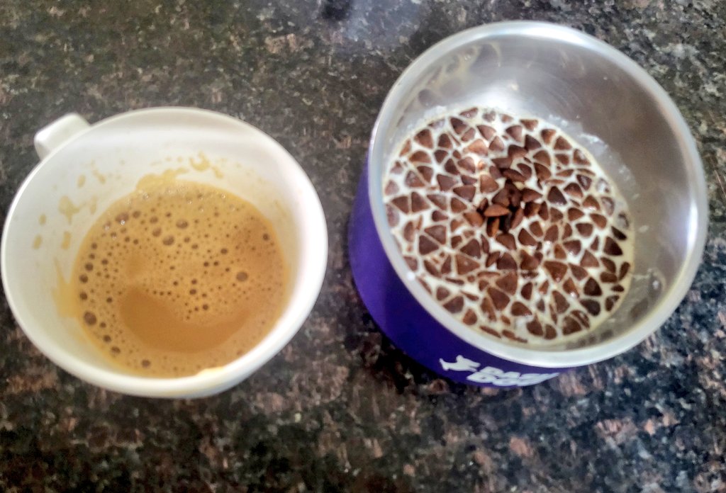 Made some filter coffee.... Wat a good start . Welcoming the glorious may ✨️ And Mel has perks of being alone with me. He got milk, which rarely we give due to shedding of hair we avoid.... #AGoodDay
