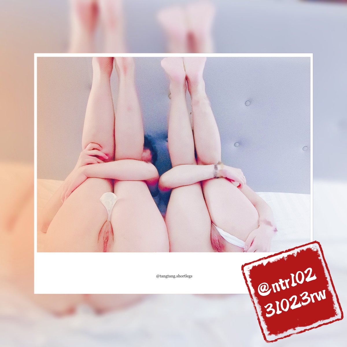 113.03.20開始尋找同房不換之旅
精挑細選找了一個多月

成功解鎖第一次同房不換✅
很開心也很幸運可以遇到非常Nice又可愛的一對情侶<a href="/SL210203/">𝑆 & 𝐿新北情侶(休息中♡)</a> 

第一次跟情侶聯誼吃飯聊天
第一次逛情趣夢天堂
第一次一起買情趣衣拍照
第一次去酷酷的汽旅
第一次壞壞時旁邊也有人在壞壞

獻給他們好多第一次🥰