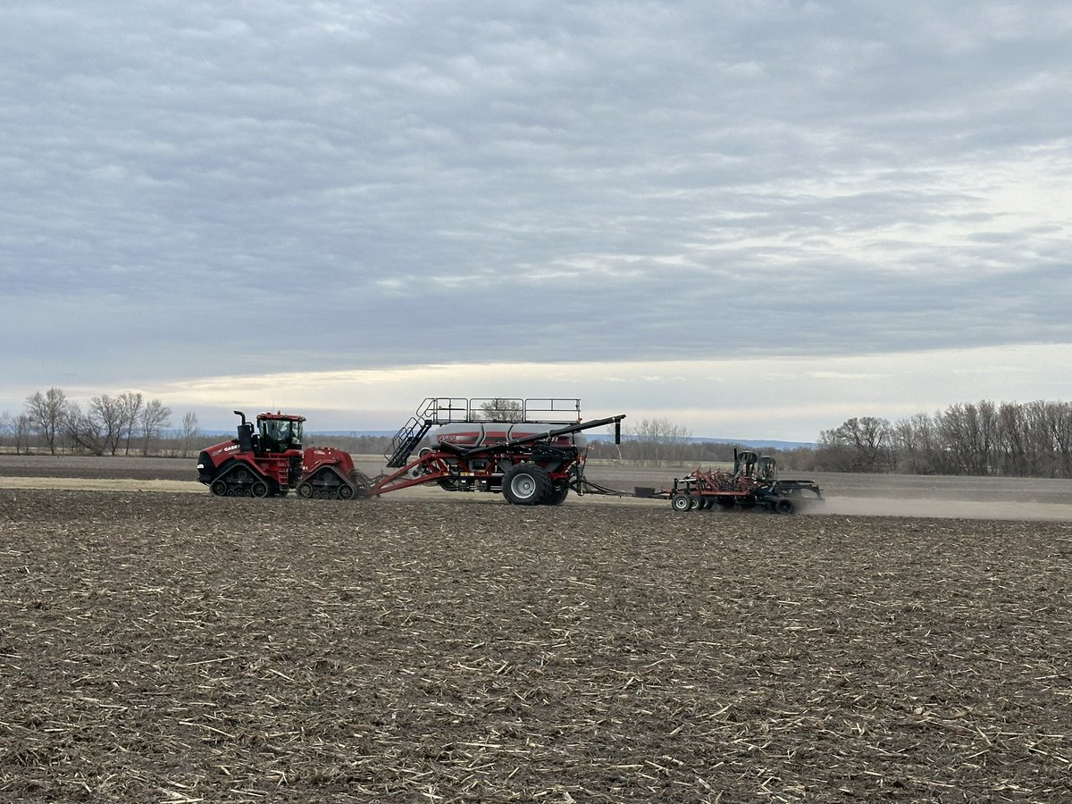 #Plant24 has commenced #wheat