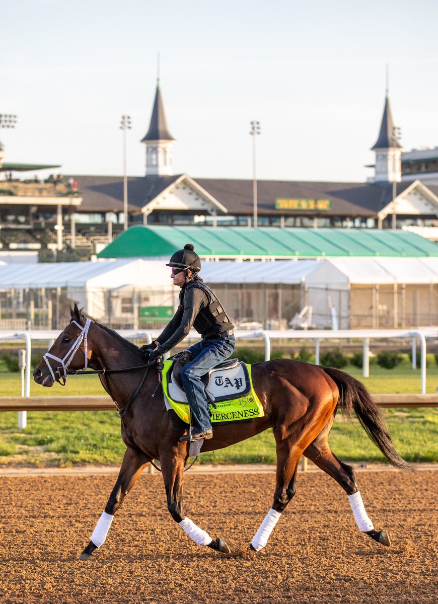 Kentucky Derby favorite Fierceness under the Twin Spires this morning 🌹