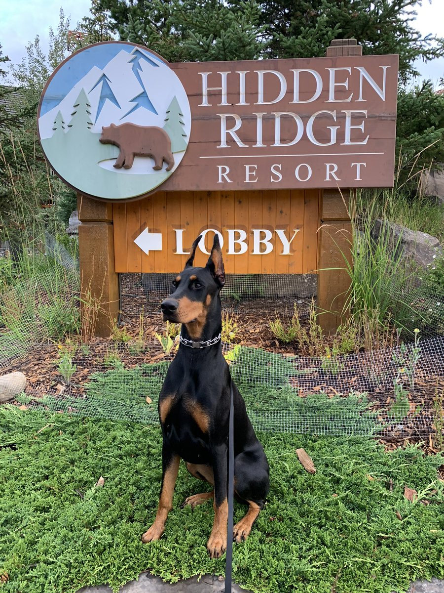 @banfflakelouise Cabo 🖤 #MyBanff 🐾🐾