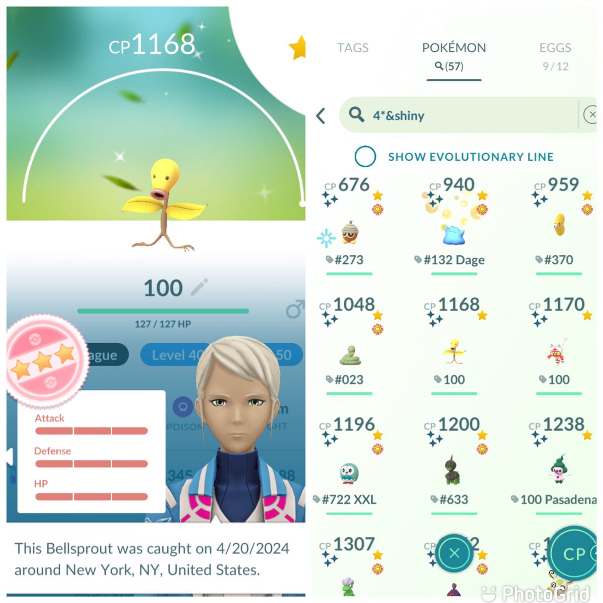 Kept it a 🌱

Level 50 Shundo Bellsprout for #maxoutmonday