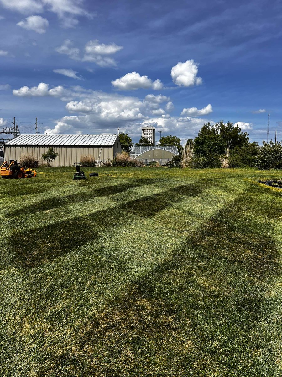 ConnerFouss's tweet photo. I don't know of many college classes that include mowing competitions, but these are after a few fertilizer applications and some mowing and rolling.

@bradycook22 
@turftoday

#turf #turfgrass https://t.co/DEfBGoy3lU