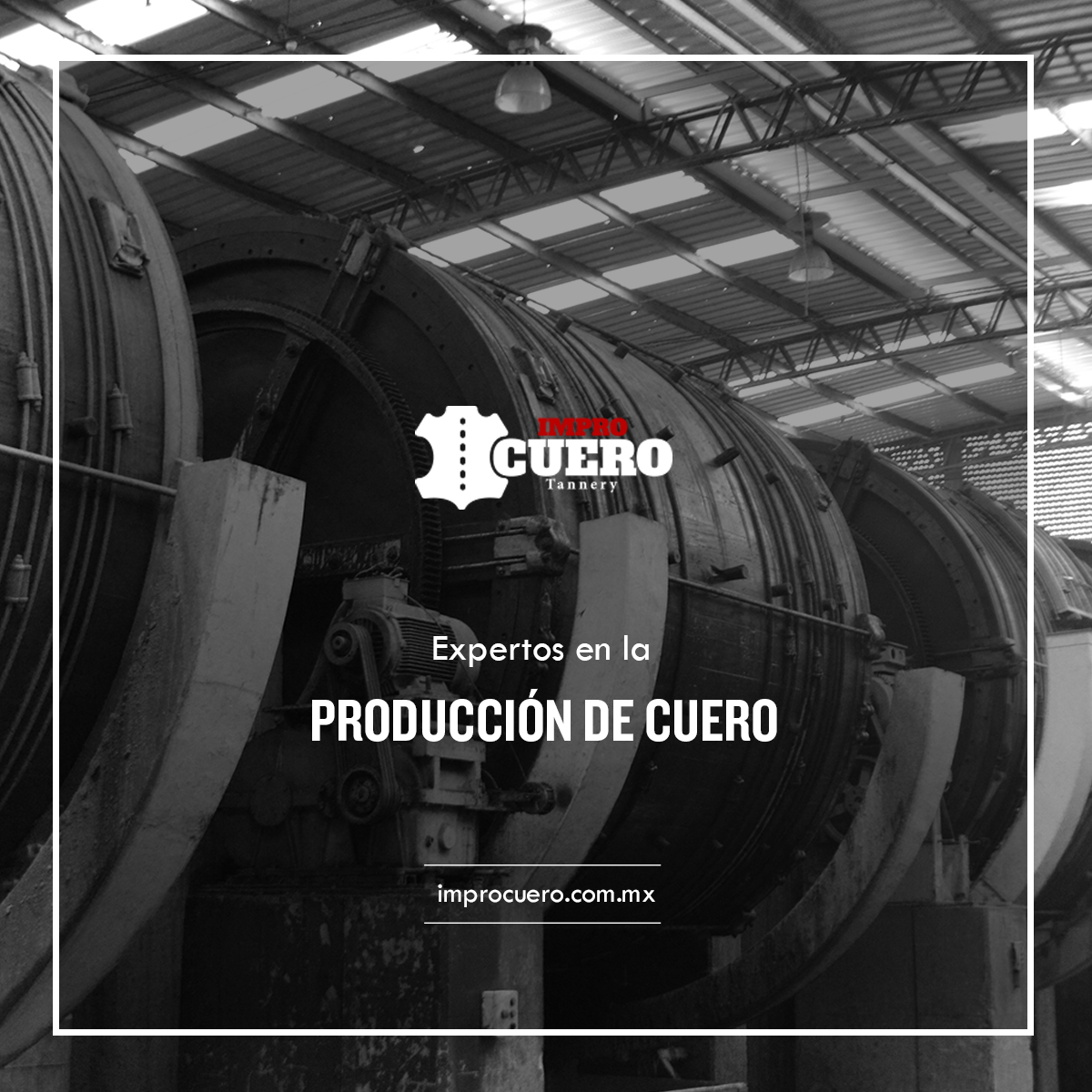 improcuero's tweet photo. Por tradición y experiencia en #Improcuero somos curtidores de corazón.

Cotiza al (477) 274-2854

#Pieles #Leather #LeatherCompany #Tannery #Tenería #Curtidos https://t.co/FfkiSlrkUN