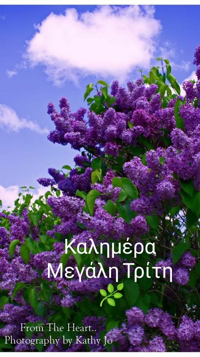 PapamihailMaria's tweet image. Μεγάλη Τρίτη...τό τροπάριο τής Κασιανής!🌿🌹
Καλημέρα με γλυκό χαμόγελο αστέρια τής αυγής!🌹🌿
Καφέεεεε όπως αγαπά ο καθένας από εμάς!🌿🌹