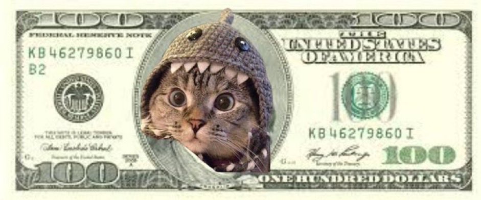 eyes on the prize 

$SC 🦈🐱