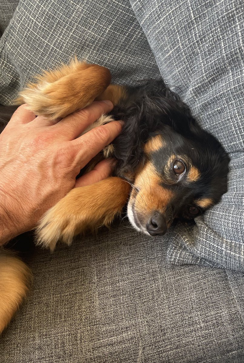 chad burns tweet media