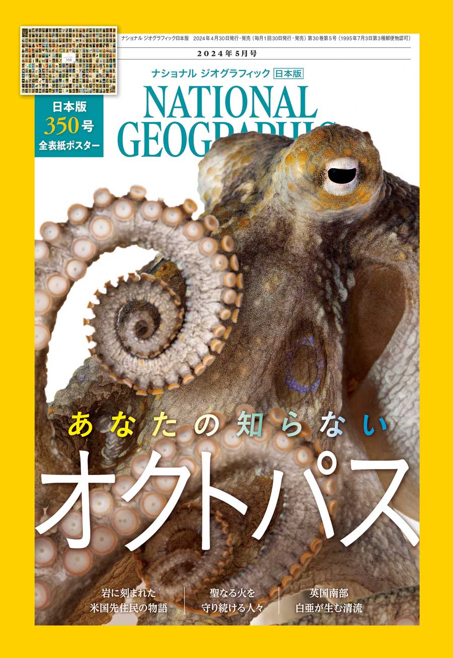 ナショナルジオグラフィック日本版 243冊セットの通販 by